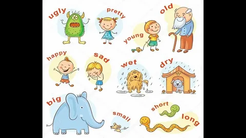 Irregular verbs