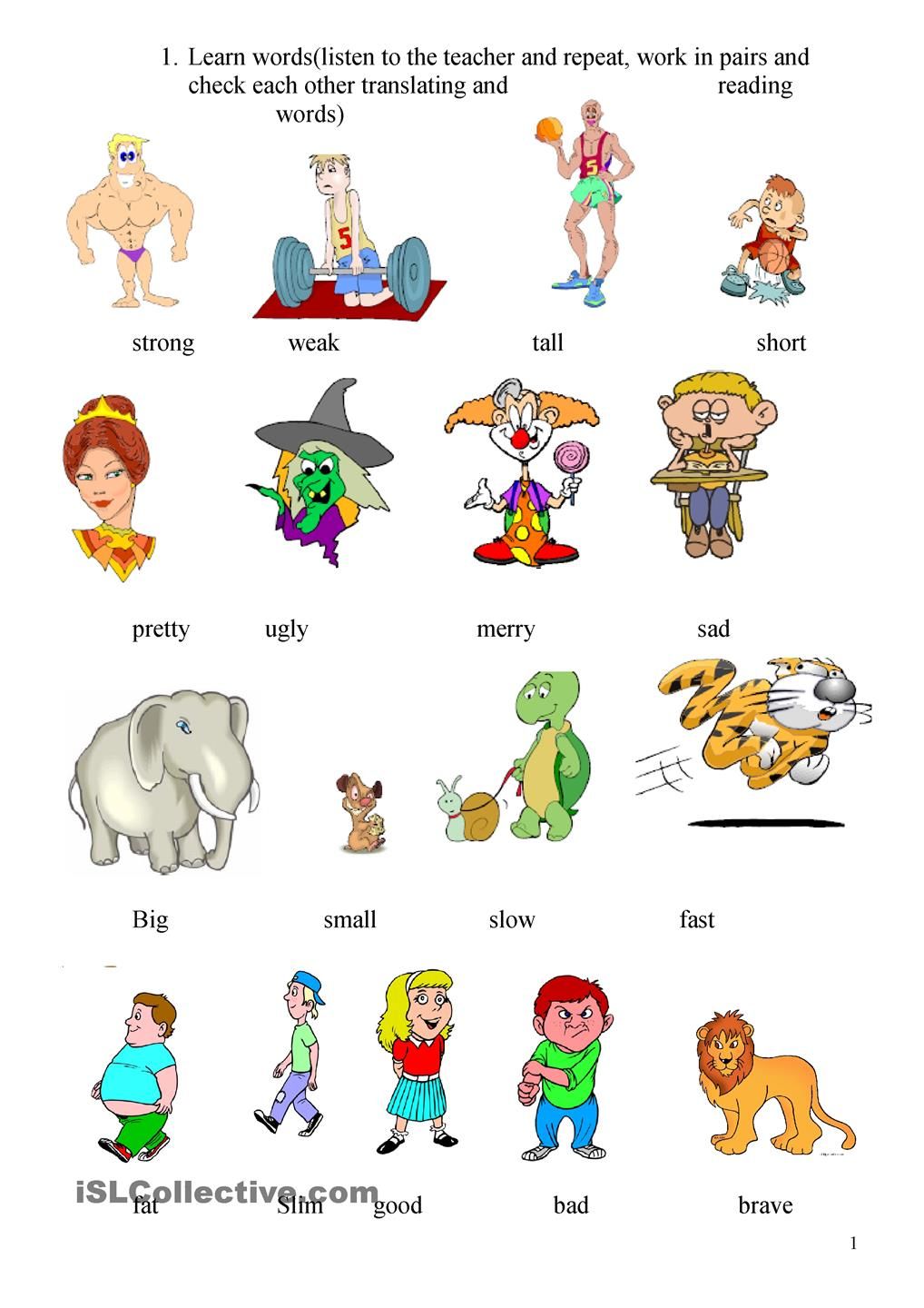 Adjectives